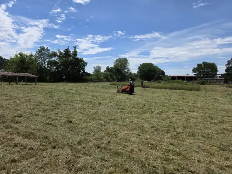 The Farm brush clearing - After photo 2 of 11