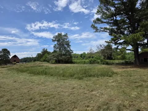 The Farm brush clearing - After photo 3 of 11