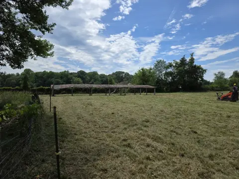 The Farm brush clearing - After photo 4 of 11