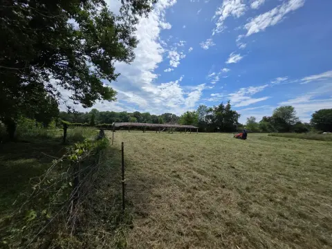 The Farm brush clearing - After photo 5 of 11
