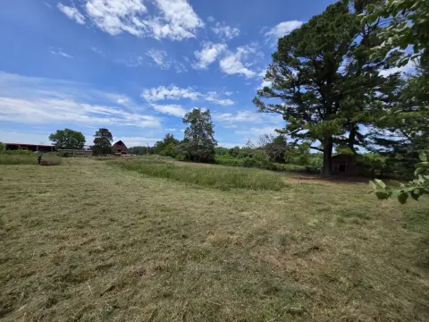 The Farm brush clearing - After photo 6 of 11