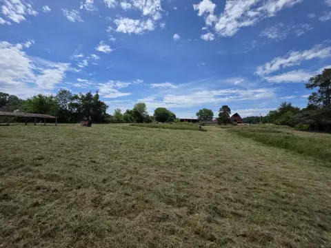 The Farm brush clearing - After photo 7 of 11