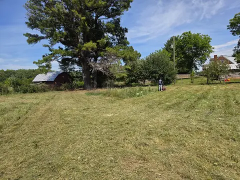The Farm brush clearing - After photo 8 of 11