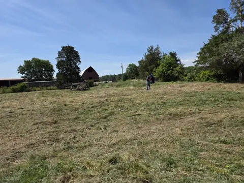 The Farm brush clearing - After photo 9 of 11