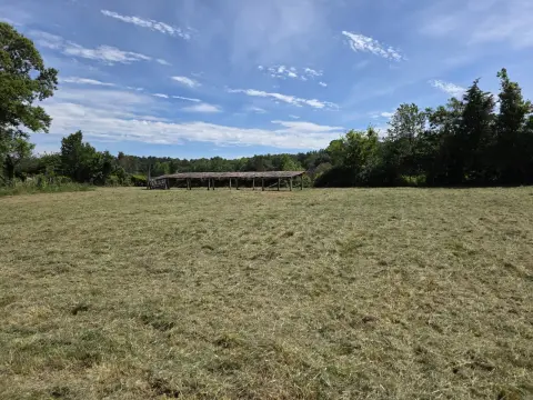 The Farm brush clearing - After photo 10 of 11