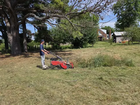 The Farm brush clearing - After photo 11 of 11