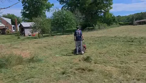The Farm brush clearing - After video 1 of 11 preview