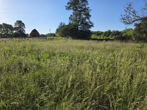 The Farm brush clearing - Before photo 3 of 14
