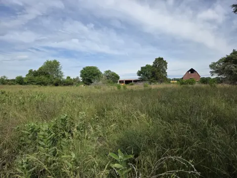 The Farm brush clearing - Before photo 5 of 14