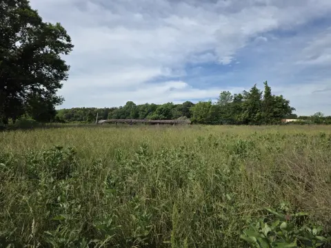 The Farm brush clearing - Before photo 6 of 14