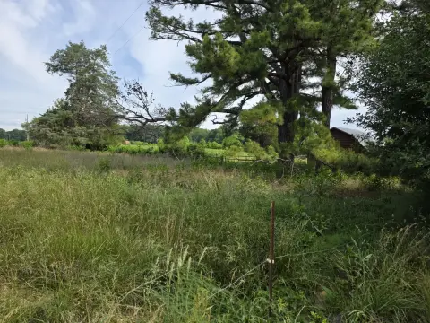 The Farm brush clearing - Before photo 7 of 14