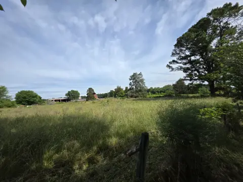 The Farm brush clearing - Before photo 8 of 14