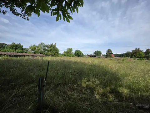 The Farm brush clearing - Before photo 9 of 14