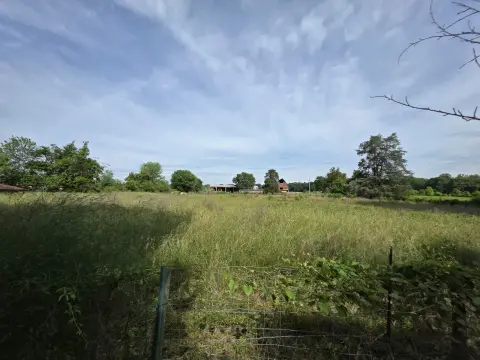 The Farm brush clearing - Before photo 10 of 14