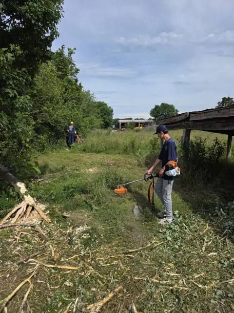 The Farm brush clearing - Before photo 11 of 14