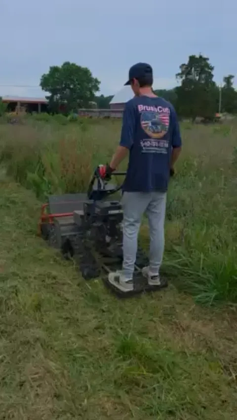 The Farm brush clearing - Before video 1 of 14 preview