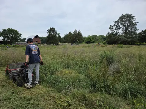 The Farm brush clearing - Before photo 13 of 14