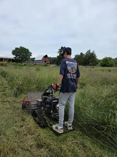 The Farm brush clearing - Before photo 14 of 14