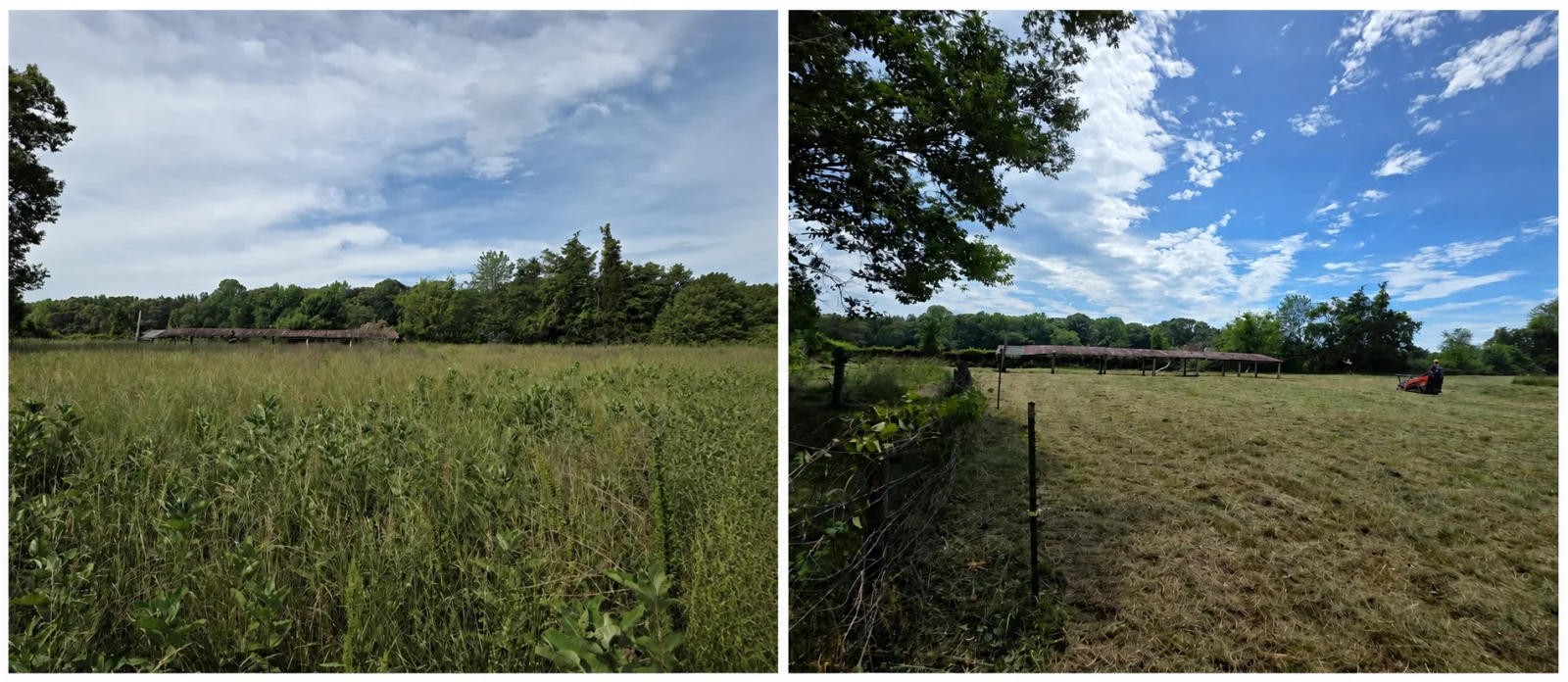 The Farm brush clearing before and after, Spotsylvania VA area