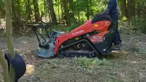 The Garden brush clearing - After video 1 of 11 preview