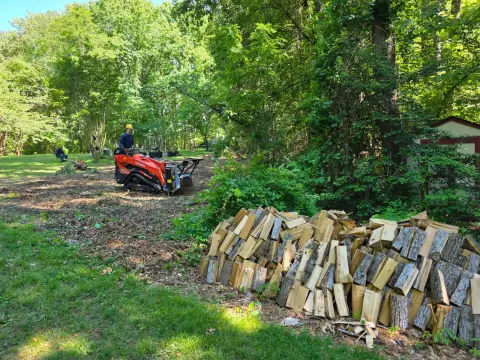 The Garden brush clearing - After photo 4 of 11