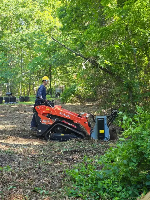 The Garden brush clearing - After photo 5 of 11