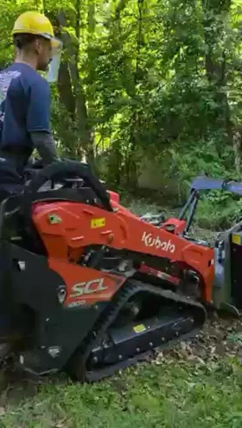The Garden brush clearing - After video 2 of 11 preview
