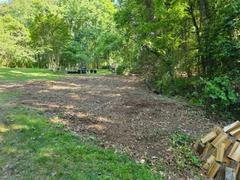 The Garden brush clearing - After photo 6 of 11