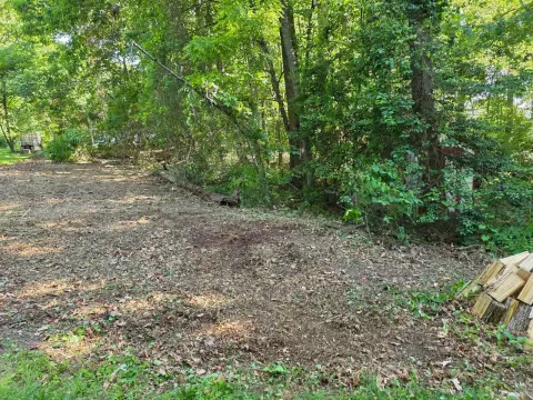 The Garden brush clearing - After photo 7 of 11