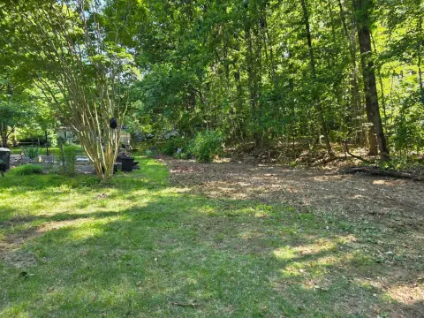 The Garden brush clearing - After photo 8 of 11
