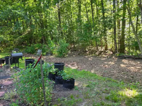 The Garden brush clearing - After photo 9 of 11