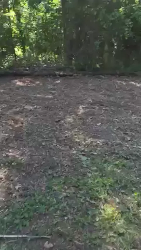 The Garden brush clearing - After video 3 of 11 preview