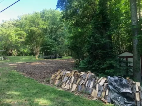 The Garden brush clearing - After photo 11 of 11