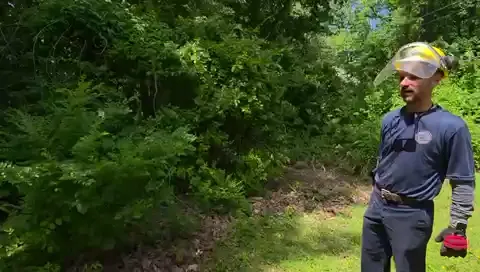 The Garden brush clearing - Before video 1 of 6 preview