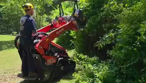 The Garden brush clearing - Before video 2 of 6 preview