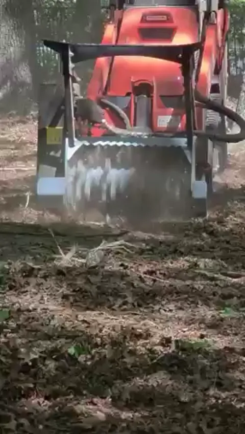 The General brush clearing - After video 1 of 8 preview
