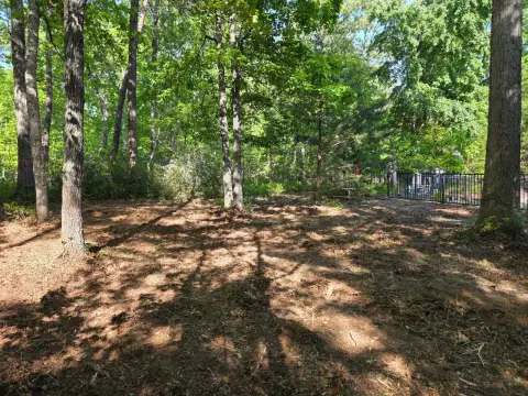 The General brush clearing - After photo 6 of 8