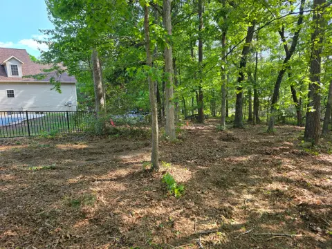 The General brush clearing - After photo 7 of 8