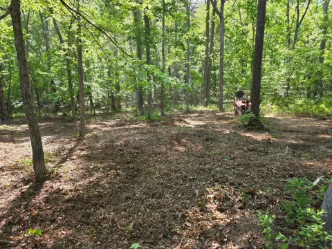 The General brush clearing - After photo 8 of 8
