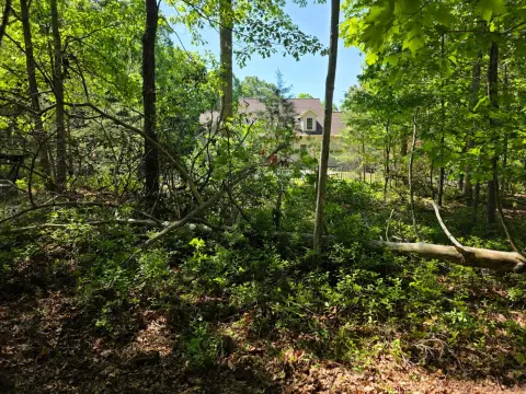 The General brush clearing - Before photo 4 of 6