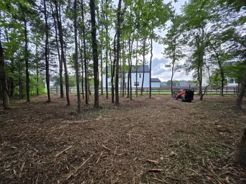 The Liberty brush clearing - After photo 4 of 10