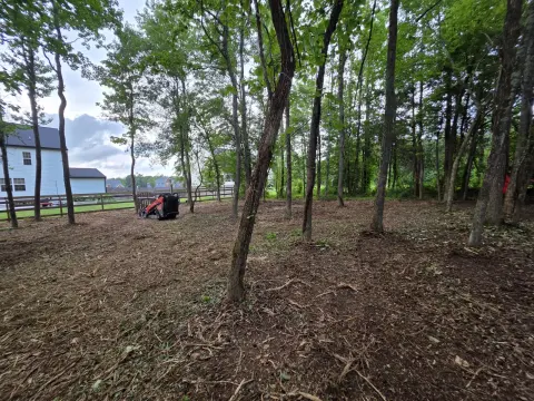 The Liberty brush clearing - After photo 5 of 10