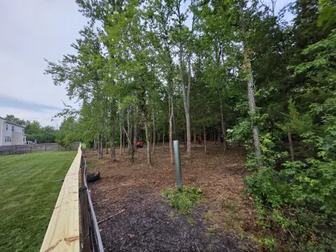 The Liberty brush clearing - After photo 8 of 10