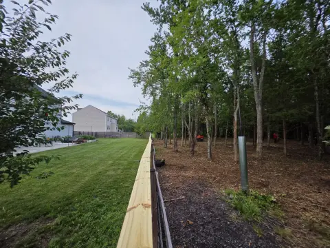 The Liberty brush clearing - After photo 9 of 10
