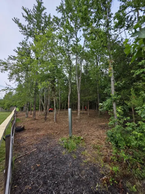 The Liberty brush clearing - After photo 10 of 10