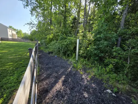 The Liberty brush clearing - Before photo 1 of 12