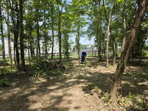 The Liberty brush clearing - Before photo 10 of 12