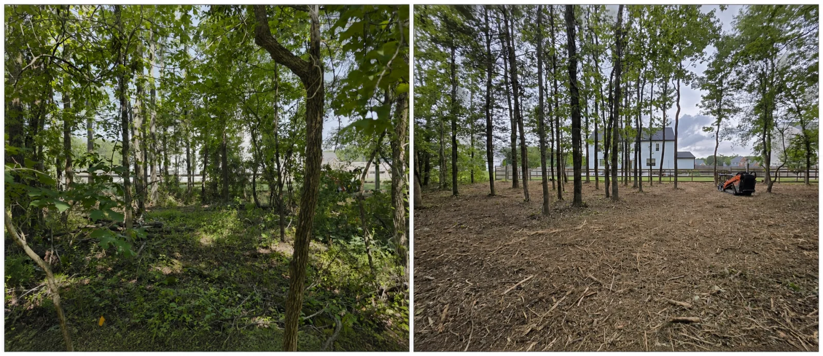 The Liberty brush clearing before and after, Spotsylvania VA area