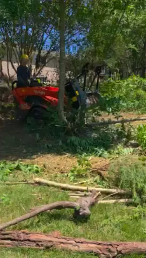 The Shed brush clearing - After video 2 of 19 preview