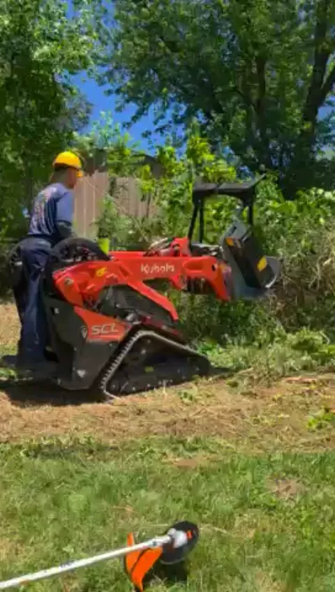 The Shed brush clearing - After video 3 of 19 preview